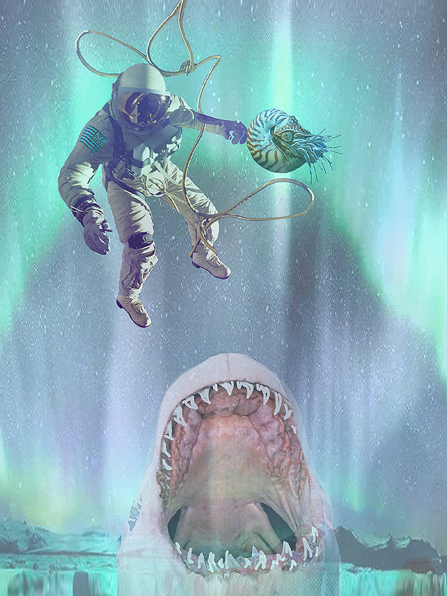 The Diamond-Toothed Shark Hunt lead pic 1